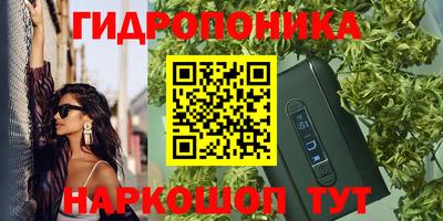стаф Пугачёв