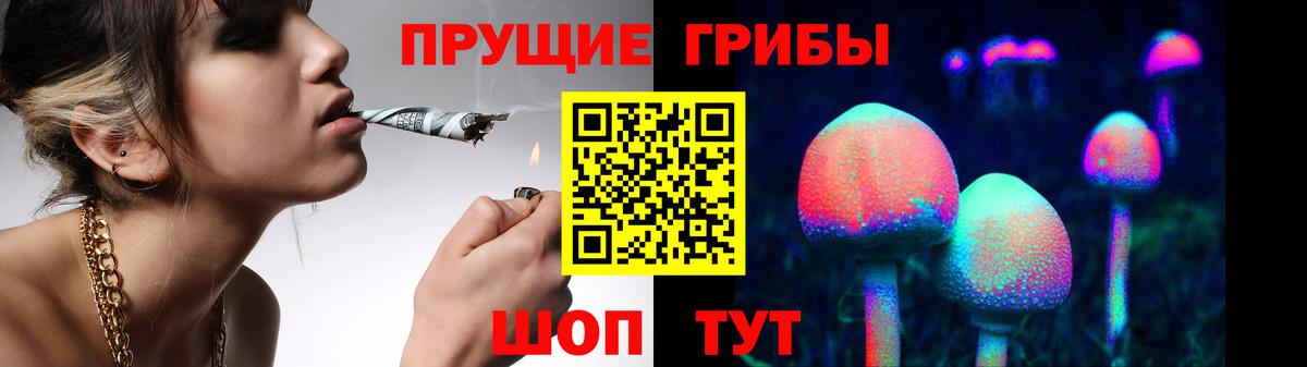 купить   Галлюциногенные грибы Cubensis  Вход с VPN  Надым 